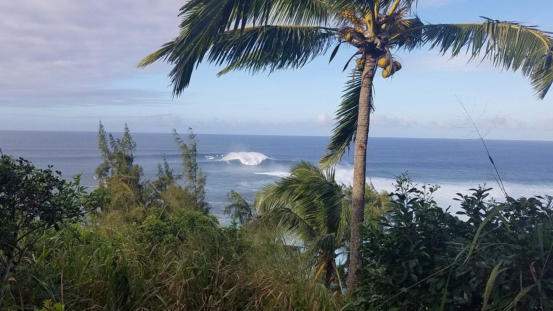 Contact Us - UPCOUNTRY LAW - Haiku, Maui, Hawaii