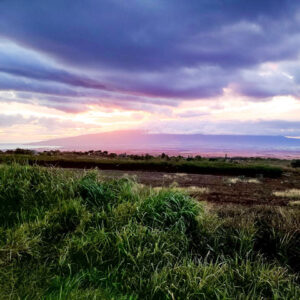 Condominium Law Attorney, Haiku, Maui, Hawaii - UPCOUNTRY LAW