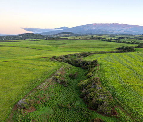 Condominium Law & Creation - Up Country Law - Haiku, Maui, Hawaii