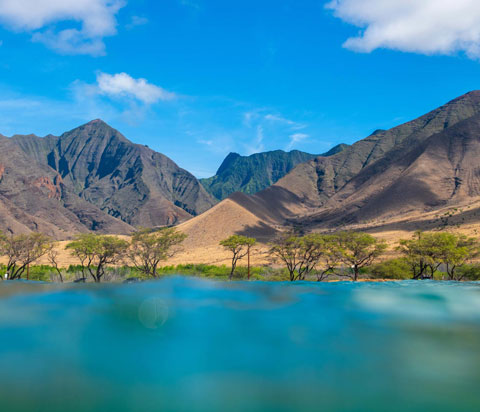 Business Law Attorney - Haiku, Maui, Hawaii