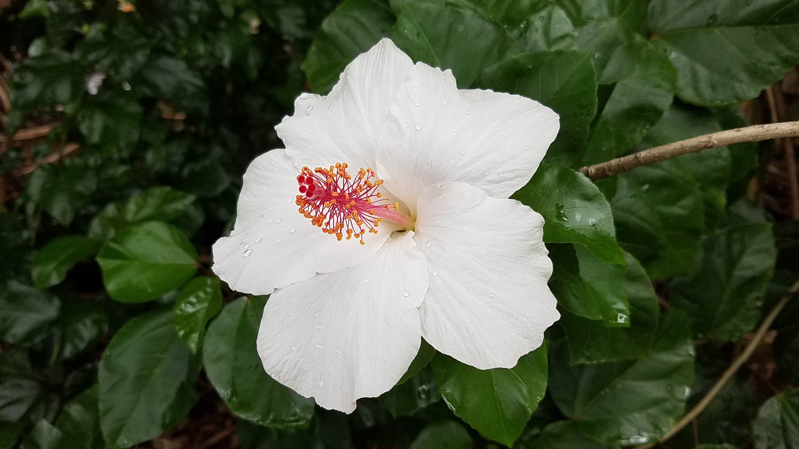 20181110_110007 (2019_05_07 22_29_44 UTC)