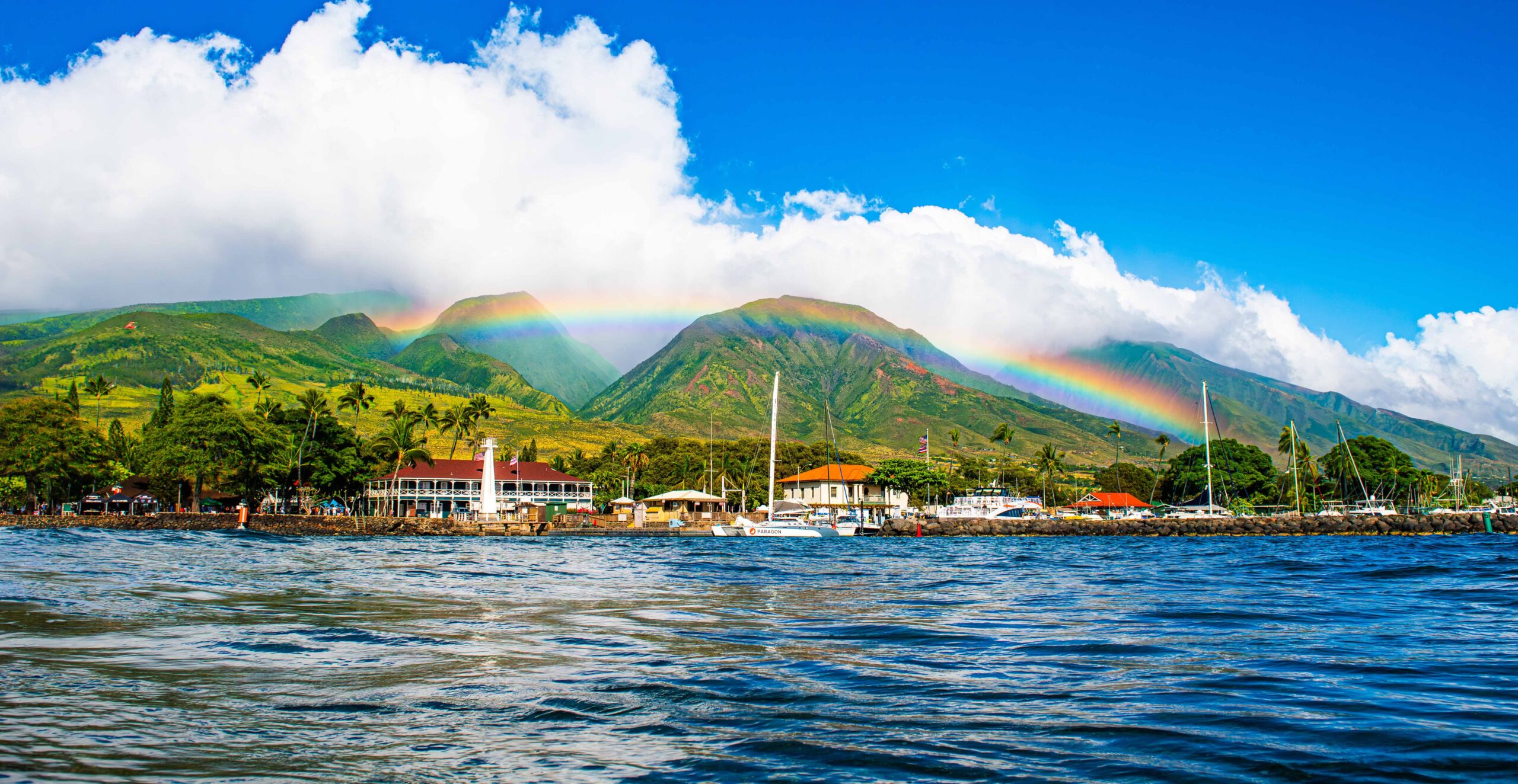 _DSC0386-Enhanced-NR 1 (1)